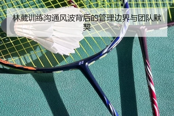 林葳训练沟通风波背后的管理边界与团队默契